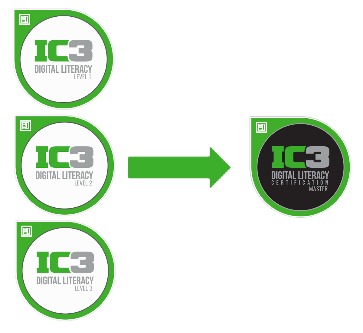 IC3 GS6 (Global Standard 6)